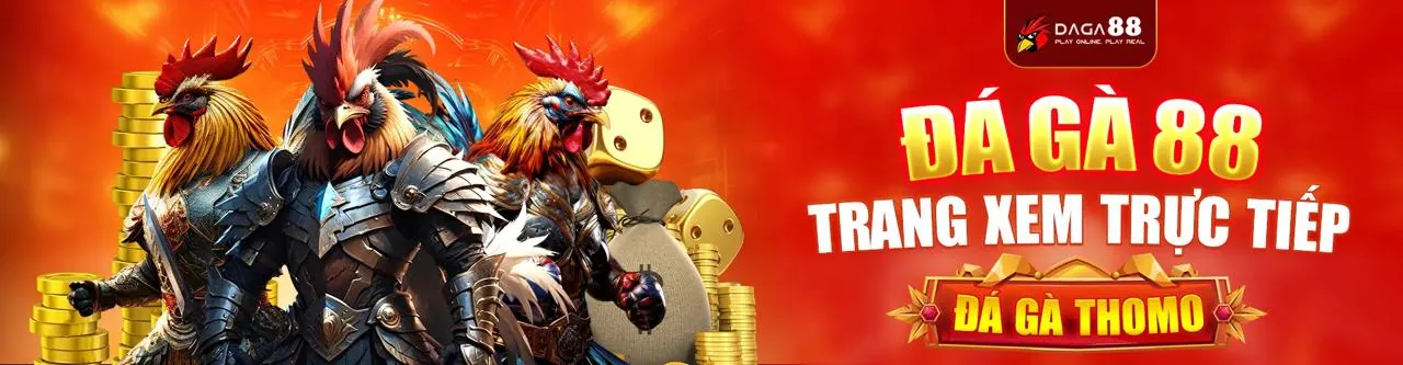 Sân đấu đá gà trực tuyến qqq88 login