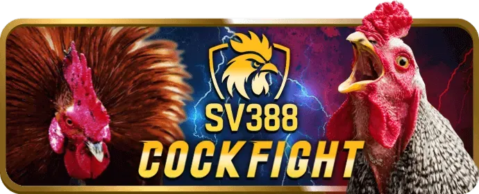 Bảo vệ dữ liệu QQQ88